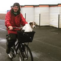 A cyclist carrying a small dog safely in a front bicycle basket